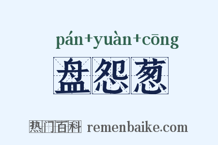 盘怨葱是什么意思的图片